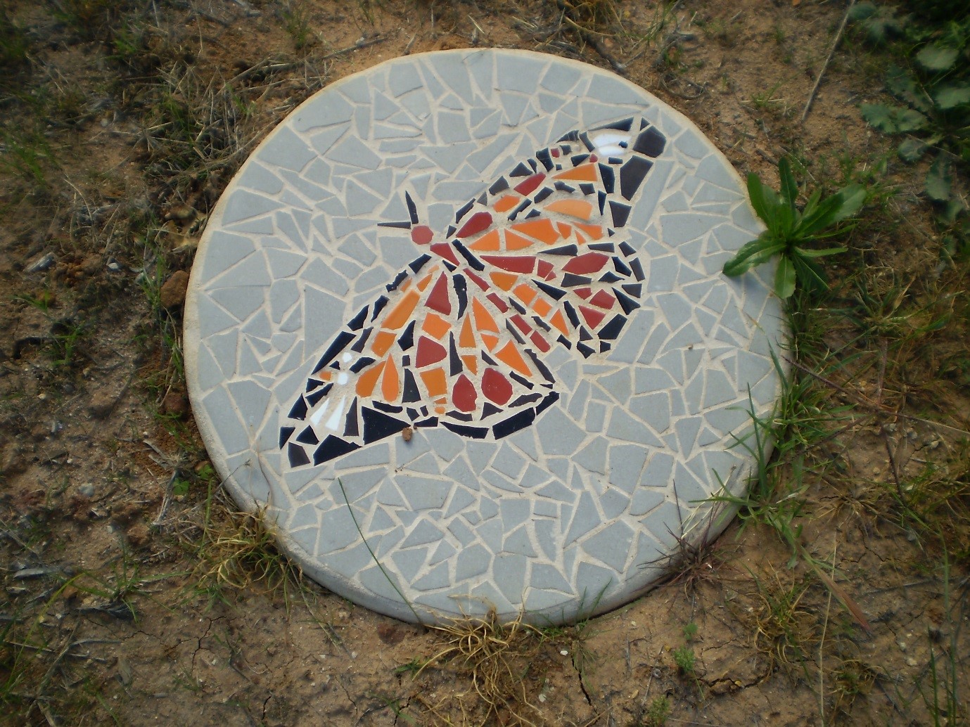 Wetlands Butterfly mosaic
