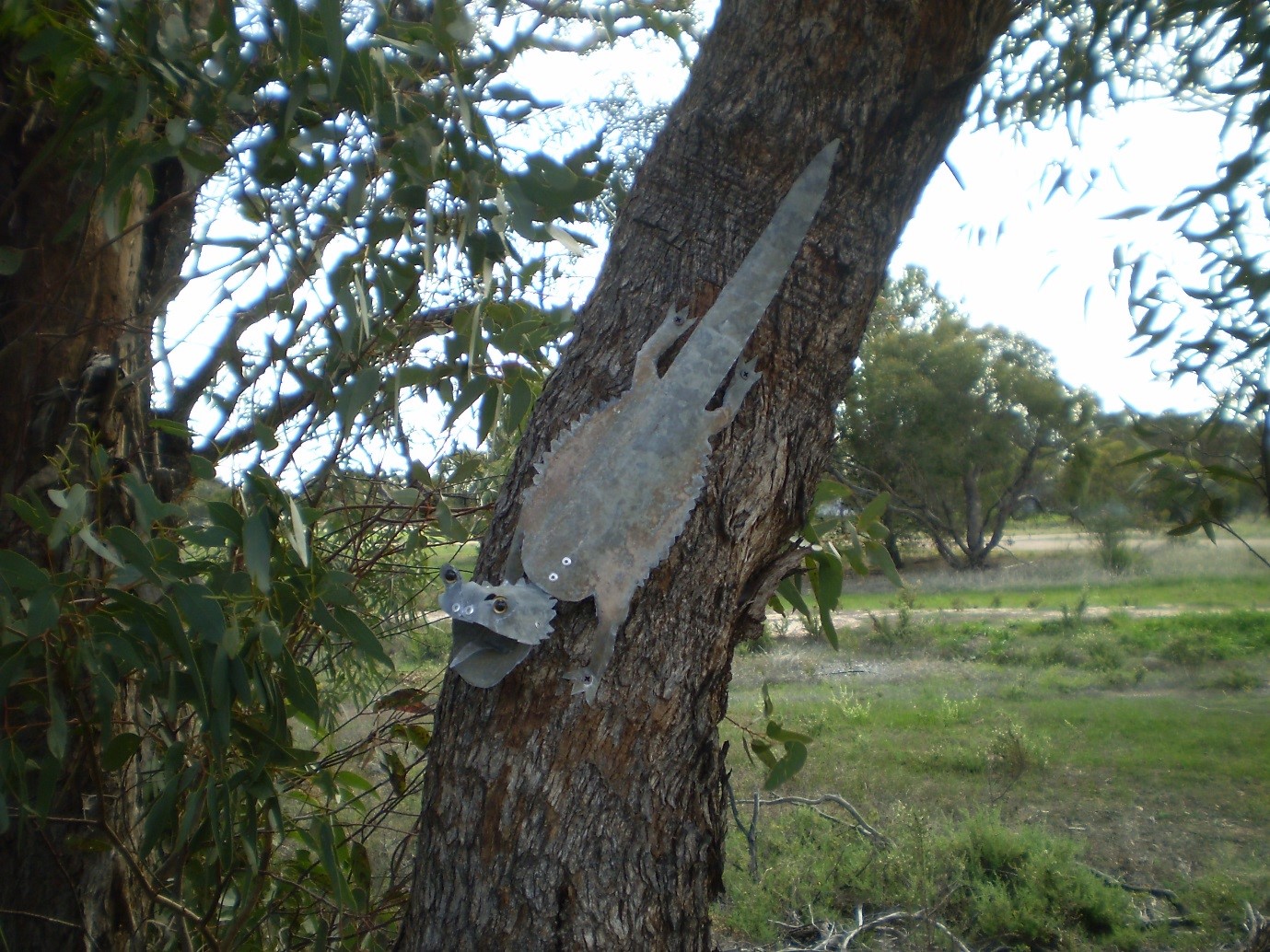 Wetlands Lizard 1 Wetlands Lizard 1